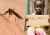 Mosquito risk to health may double by 2100