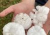 Enormous hailstorm in Texas (Photo-Video)