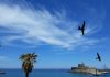 Ρόδος-Δωδεκάνησα – Πρόγνωση Καιρού Εβδομάδας 15/19 Ιουνίου